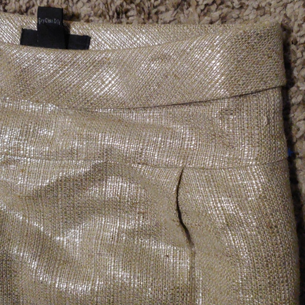 ✨J.Crew SHIMMER Metallic Linen Mini size 2